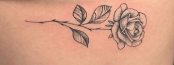 Example reference: fine line rose tattoo